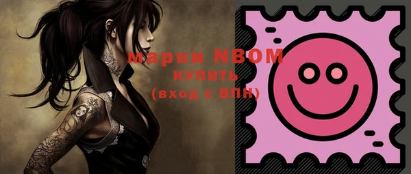прущий лед Горняк