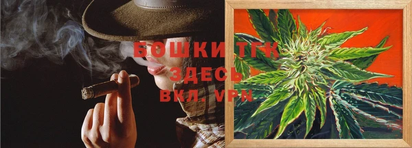 прущий лед Горняк