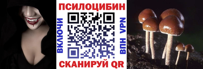 Галлюциногенные грибы прущие грибы Дальнереченск